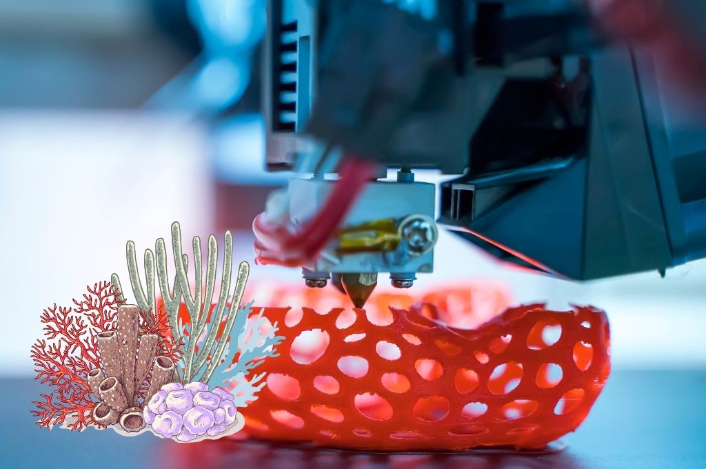 Wykorzystanie druku 3D w ratowaniu rafy koralowej